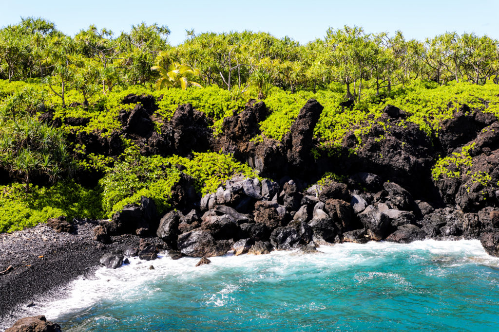 The amazing colors on the Road to Hana