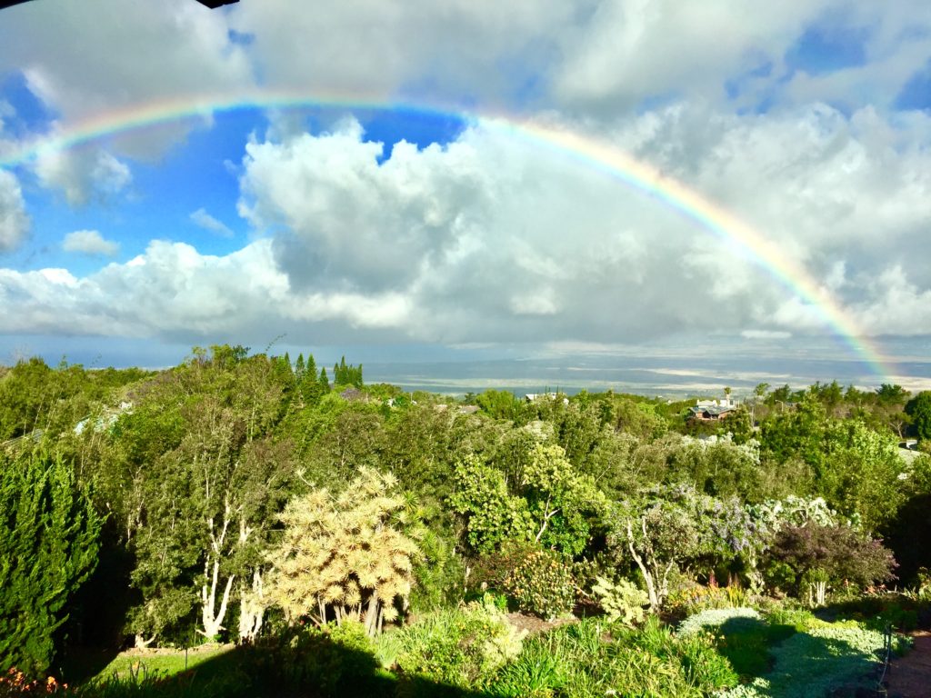 A stunning rainbow view from the Kula Lodge.