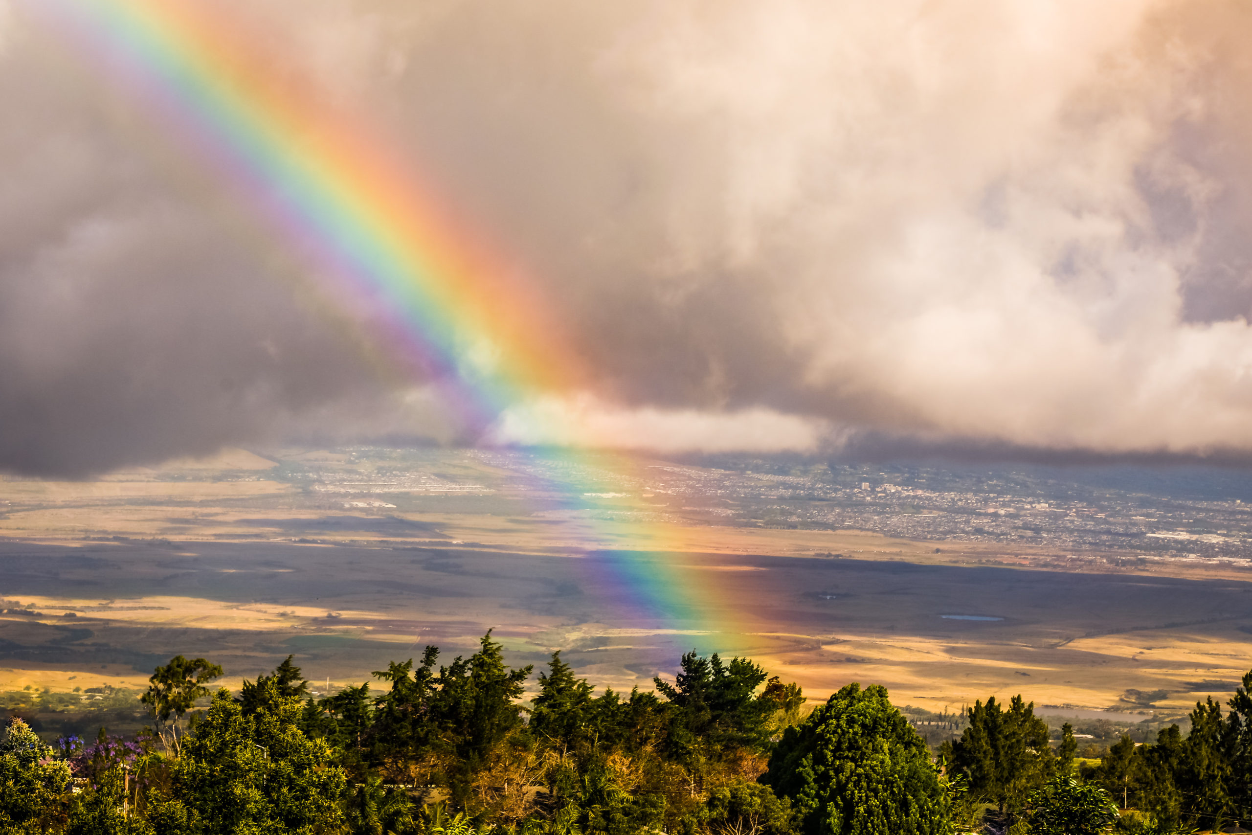 Kula Lodge, Ali’i Kula Lavender Farm, and a Completely Royal Surprise!