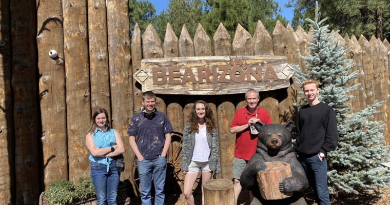 Bearizona – A Beary Wonderful Surprise in Williams, Arizona!